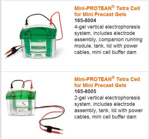 Bio-rad伯乐Mini迷你电泳槽1658001-实验室其他仪器