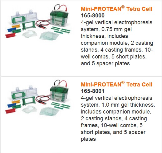 Bio-rad伯乐Mini迷你电泳槽1658001-实验室其他仪器