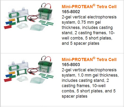 Bio-rad伯乐Mini迷你电泳槽1658001-实验室其他仪器