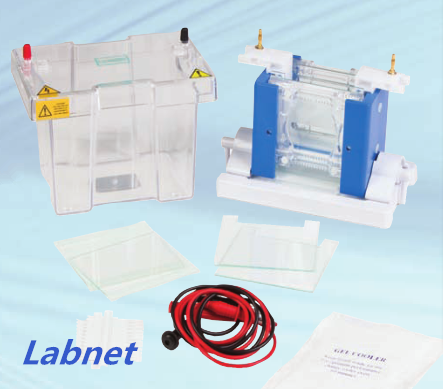 美国Labnet垂直电泳系统E2010-PA/E2010-PCA/E2010-BM-垂直电泳槽