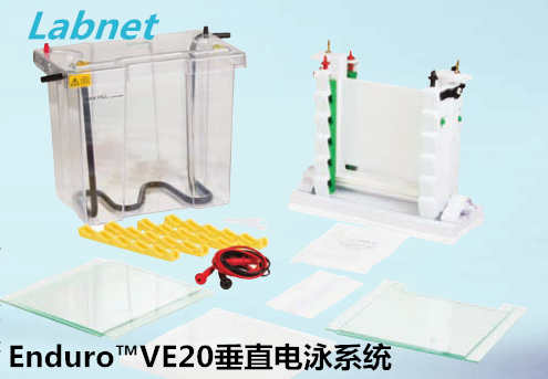 美国Labnet Enduro VE20垂直电泳系统E2020-CU/E2020-电泳/PCR与分子生物学