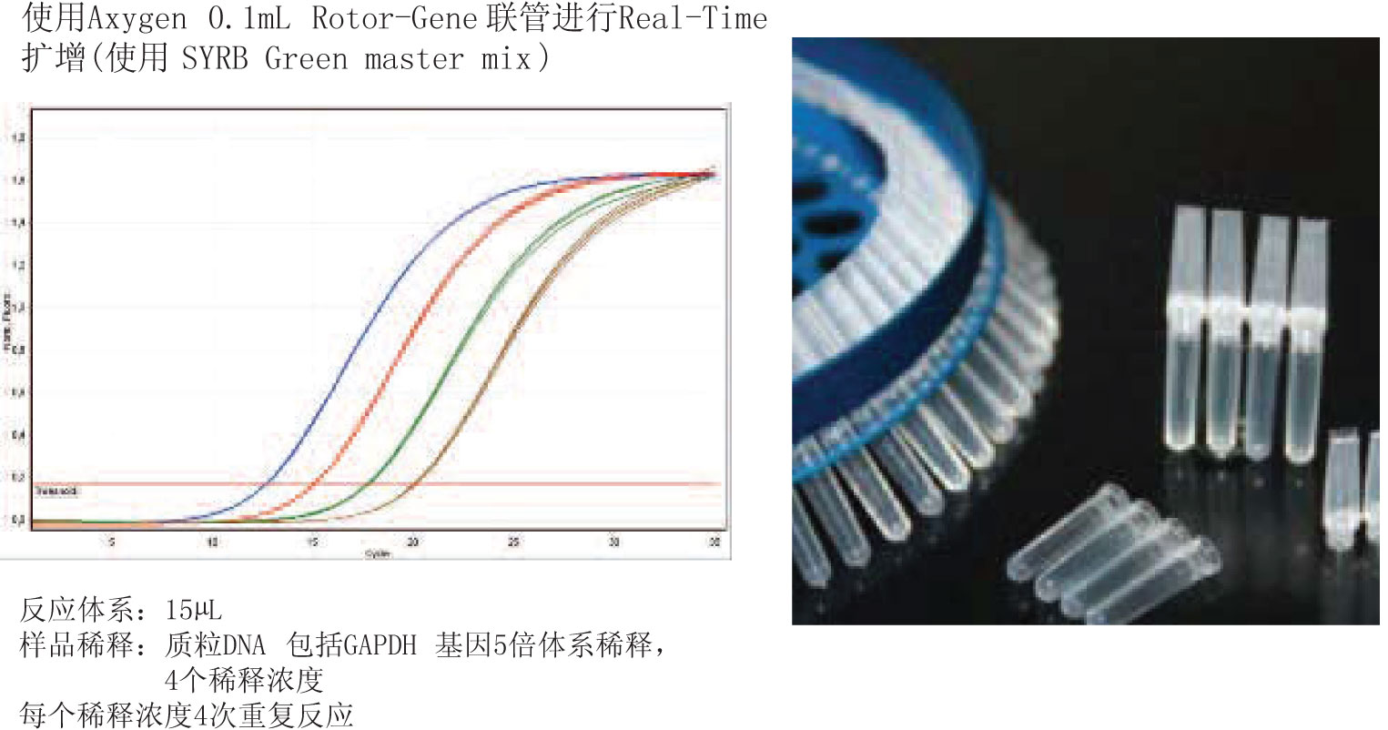 美国AYGEN配Rotor–Gene的荧光定量PCR联管0.1ml四联管（含盖）PCR-0104--PCR管|PCR板