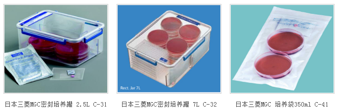 日本三菱MGC 2.5L厌氧产气袋C-01（10个/包）-培养箱