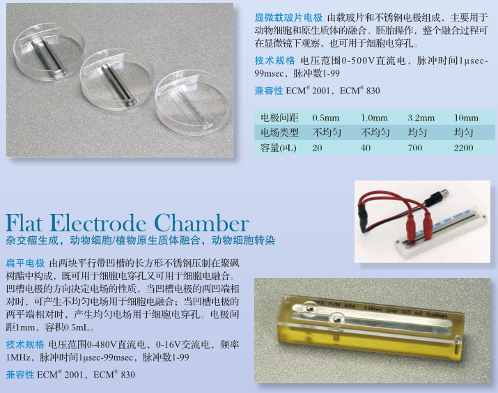 BT指数衰减波电穿孔系统ECM399/ECM630-电穿孔