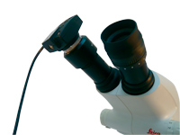 日本菊池|S300Ⅱ-M|8倍显微镜接目镜-菊池光学