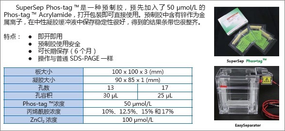 预制胶SuperSepTM Phos-tagTM (50μmol/l), 12.5%, 13well-价格-厂家-供应商-wko富士胶片和光