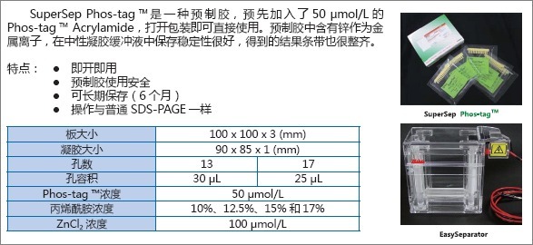 预制胶SuperSepTM Phos-tagTM (50μmol/l), 12.5%, 17well-价格-厂家-供应商-wko富士胶片和光