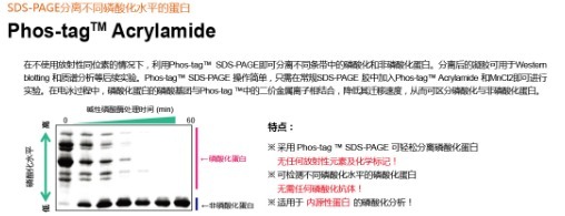 Phos-tag™ Acrylamide 5mM水溶液-价格-厂家-供应商-wko富士胶片和光