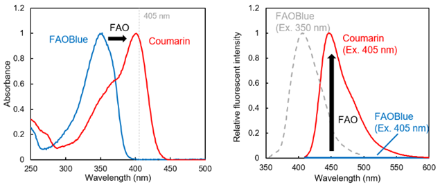 可荧光定量活细胞的脂肪酸β-氧化（FAO）活性的试剂-价格-厂家-供应商-wko富士胶片和光