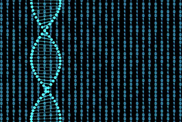 DNA和RNA探针的区别是什么？
