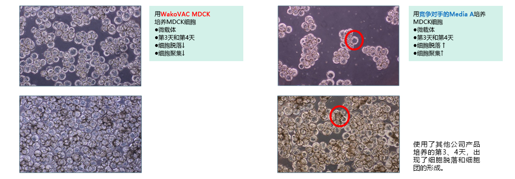 WakoVAC MDCK                  Vero疫苗用无血清培养基