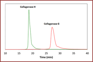 TDzyme (重组胶原酶)组织解离酶试剂盒 TDzyme Tissue Dissociation Kits 货号:TDL0010/TDM0008 品牌:
