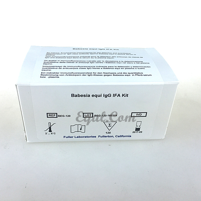 马泰勒虫免疫荧光试剂盒 Theileria equi IFA Kit  货号：BEG-120 品牌：