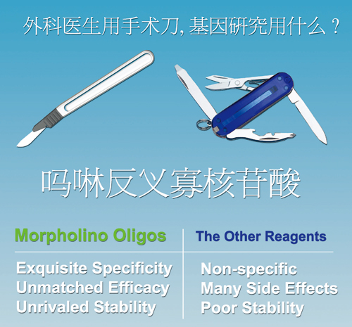 第三代反义寡核苷酸 MORPHOLINO 定制型 Morpholino Antisense Oligos 货号：MORPHOLINO  品牌：