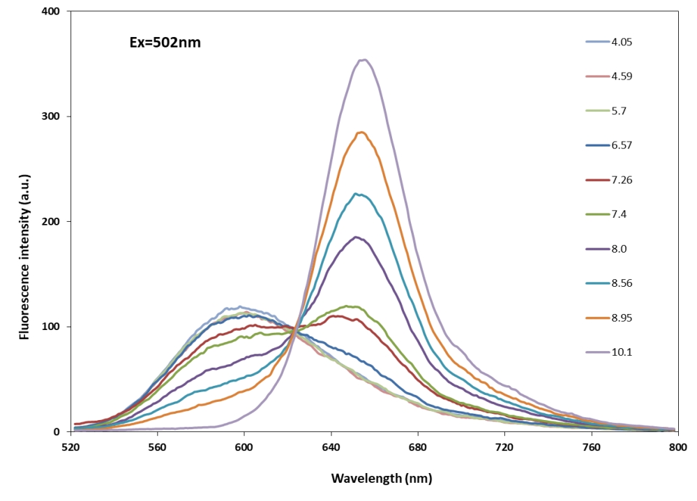 RatioWorks PH165, NHS ester pH荧光探针    货号21214-AAT Bioquest荧光染料