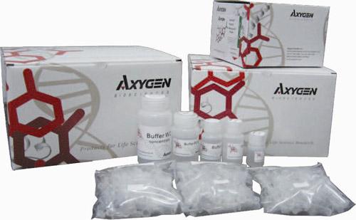 Aygen试剂盒 AP-MN-BL-RNA-250G AyPrep 血RNA小量制备试剂盒