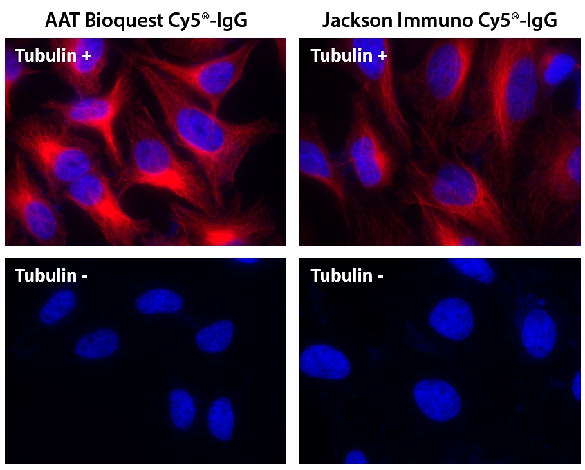 Cy5®羊抗鼠免疫球蛋白(H+L)    货号16855-AAT Bioquest荧光染料