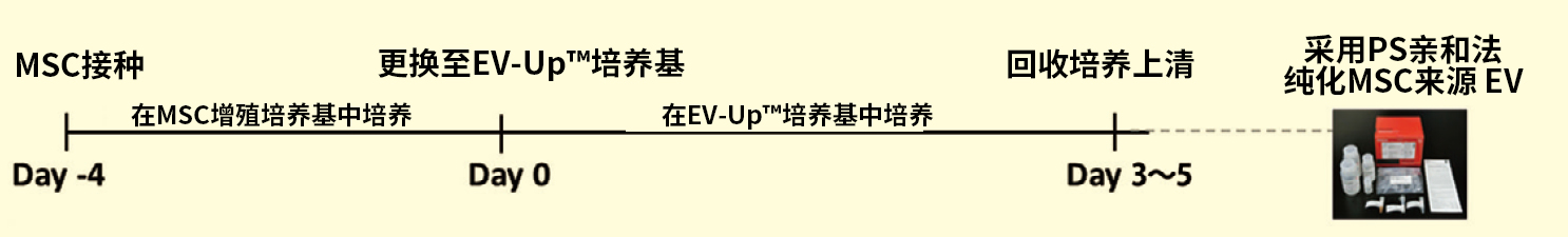 间充质干细胞来源外泌体产生用无血清培养基的研发