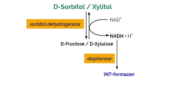 D-Sorbitol Xylitol Assay Kit K-SORB SORB