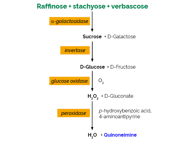 Raffinose Sucrose D-Glucose Assay Kit K-RAFGL RAFGL