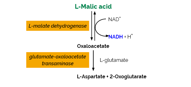 L-Malic Acid Assay Kit Manual Format K-LMAL