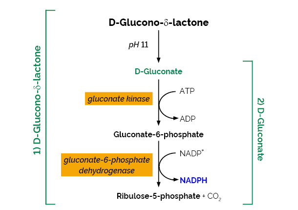 D-Gluconate Acid D-Glucono-gamma-lactone Assay K-GATE