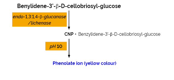 Malt beta-Glucanase-Lichenase Assay Kit MBG4 Method K-MBG4