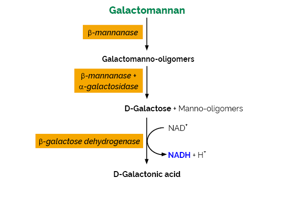 Galactomannan Assay Kit K-GALM GALM