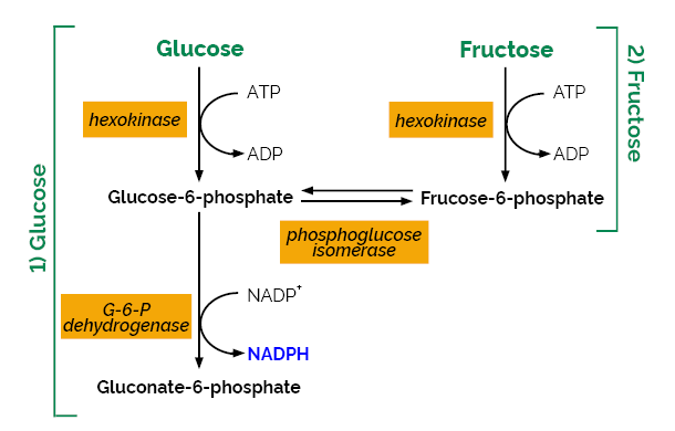D-Fructose D-Glucose Assay Kit K-FRUGL
