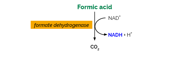 Formic Acid Assay Kit K-FORM
