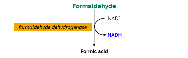 Formaldehyde Assay Kit K-FRHYD FRHYD