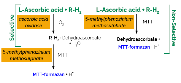 Ascorbic Acid Assay Kit L-Ascorbate K-ASCO ASCO