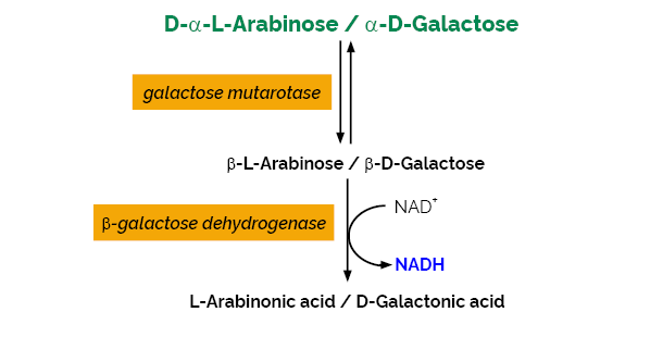 L-Arabinose D-Galactose Assay Kit K-ARGA ARGA