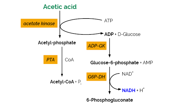 Acetic Acid GK Assay Kit Analyser Format K-ACETGK ACETGK