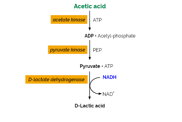 Acetic Acid Assay Kit Acetate Kinase Analyser Format K-ACETAK ACETAK
