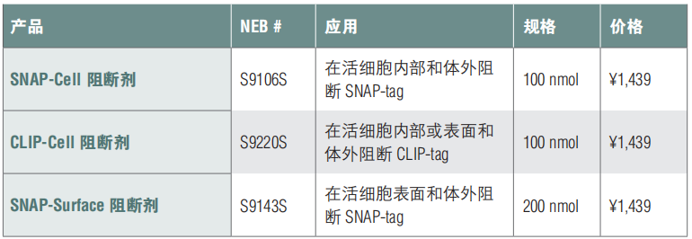 SNAP-Surface 阻断剂            货   号                  #S9143S