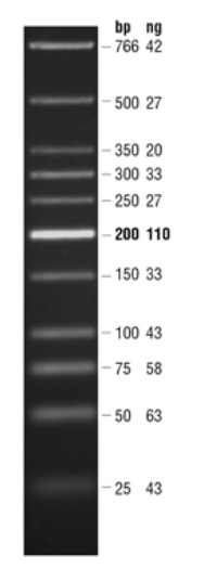 Quick-Load 紫色 低分子量 DNA Ladder            货   号                  #N0557S
