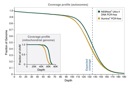 NEBNext® Ultra™ II DNA PCR-Free 文库制备试剂盒 货 号 #E7410L
