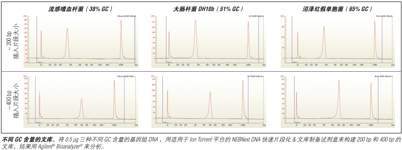 NEBNext DNA 快速片段化 & 文库制备试剂盒-Ion Torrent            货   号                  #E6285L