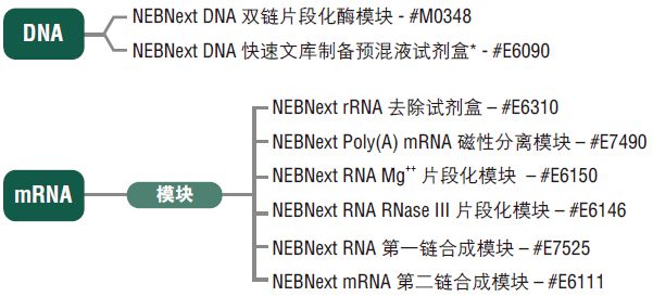 NEBNext DNA 文库制备预混液试剂盒 - 454(停产)            货   号                  #E6070L