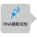 BcaBEST&trade; RNA PCR Kit Ver.1.1