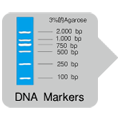 TaKaRa Ex Premier&trade; DNA Polymerase