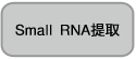 microRNA定量（qRT-PCR）