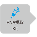PrimeScript&trade; RT reagent Kit with gDNA Eraser (Perfect Real Time)