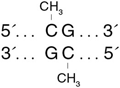 CpG 甲基转移酶 (M.SssI)                货   号                  #M0226L