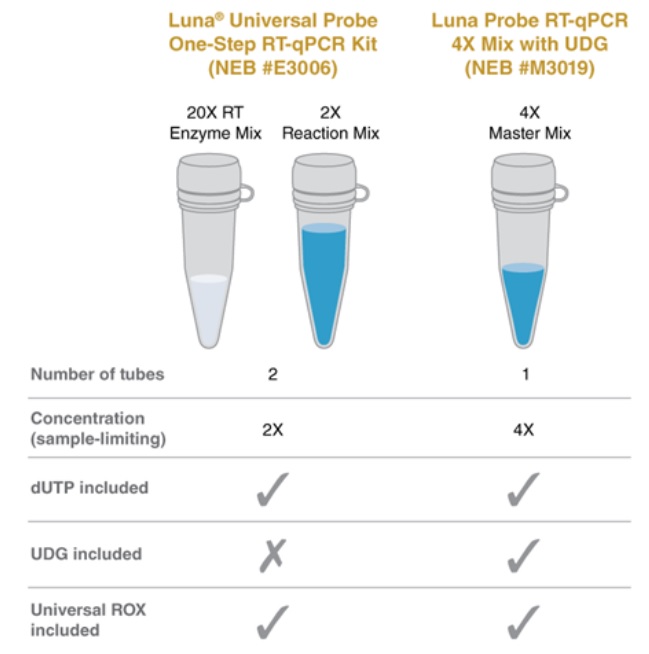 Luna® 探针一步法 RT-qPCR 4X 预混液（含 UDG）            货   号                  #M3019E