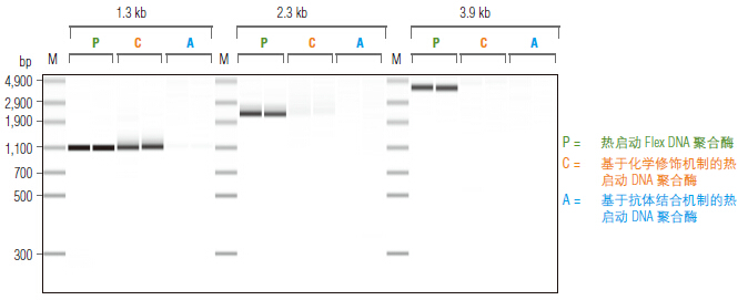 Phusion® 超保真 PCR 预混液（提供 GC 缓冲液）                 货   号                  #M0532L