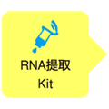 Yeast Processing Reagent (for total RNA preparation)