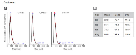 Capturem&trade; Extracellular Vesicle Isolation Kit