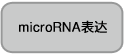 RNAiso for Small RNA